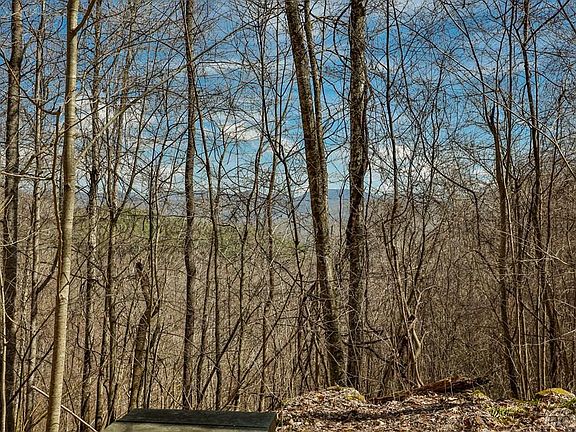 4th image of Lot 47 Yellow Palmer Lane