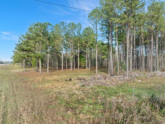 5th image of 1115 Evelyn Gandy Pkwy