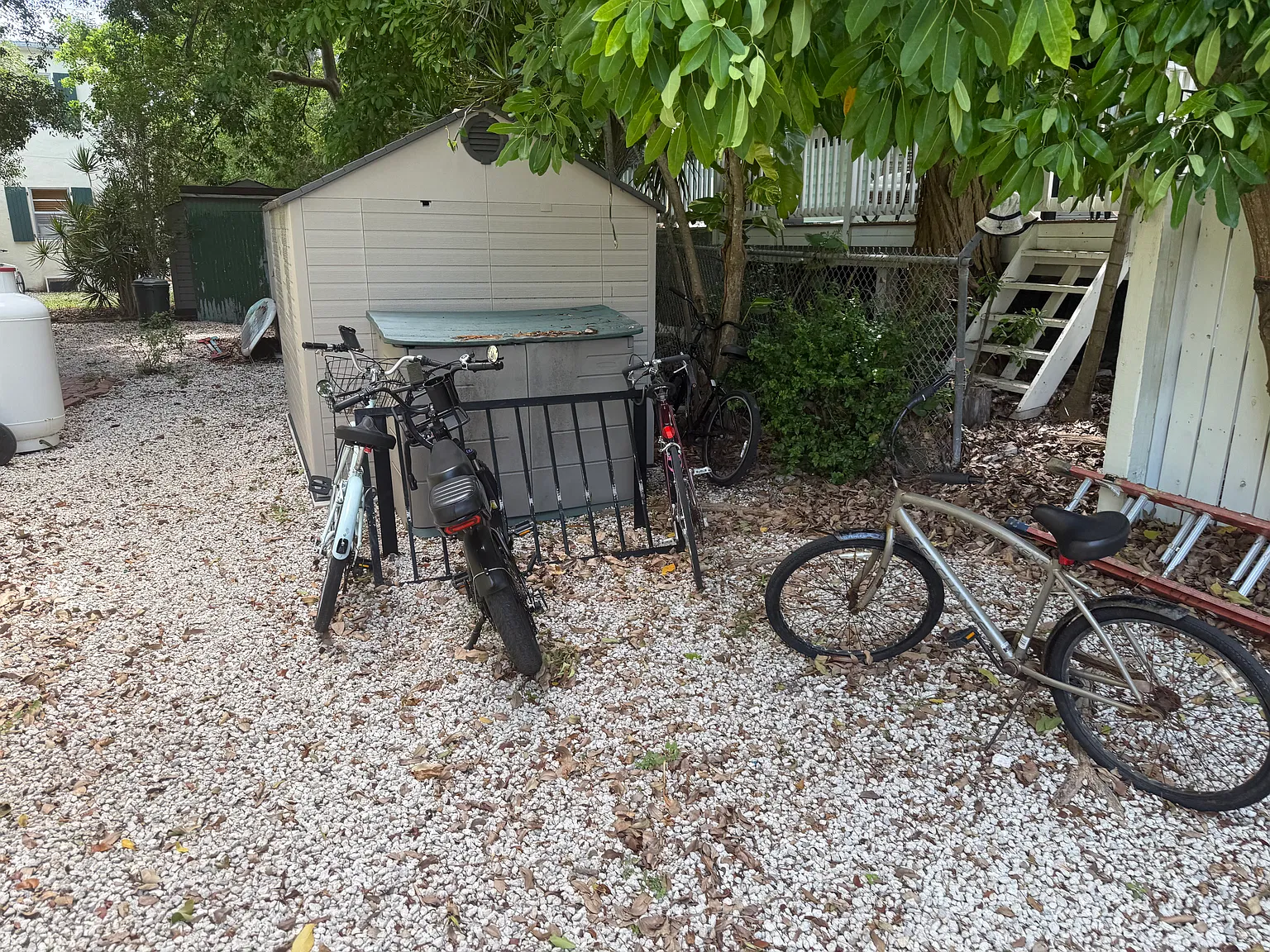 1 bed, 810 sqft, $3,000 — Photo 4
