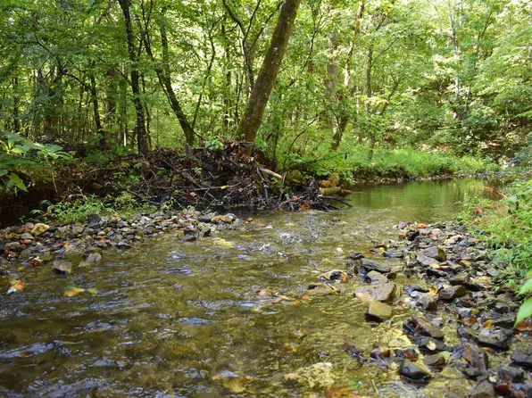 0 Beech Creek Rd, Norman, AR 71960