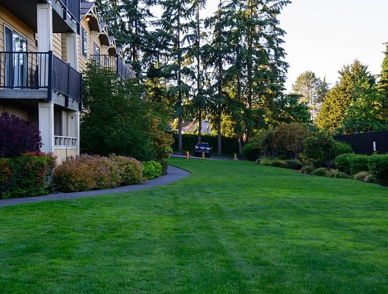 lawn