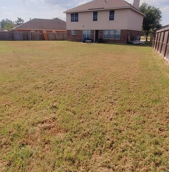 2527 Liza Ct — Photo 7