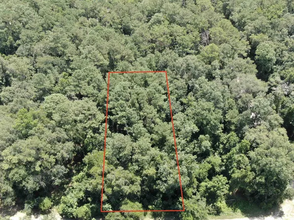 Vacant Ne Chive Ter, Lee, FL 32059