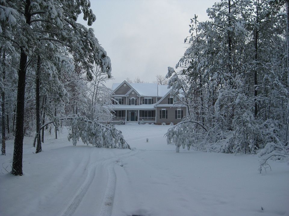 Snow 2009