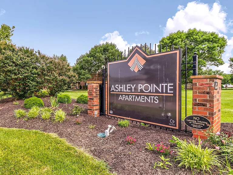 Ashley Pointe — Photo 20