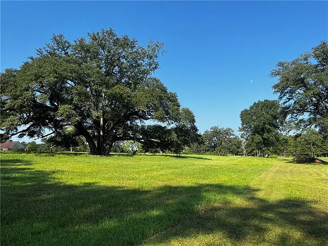 475 Deerfield Rd — Photo 10
