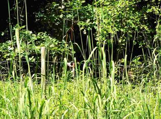 LOT A Moore Mountain Rd LOT A, Pittsboro, NC 27312
