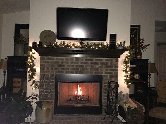 Wood burning fireplace