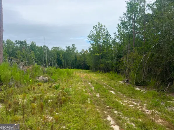 0 Old Ailey Lothair Rd, Mount Vernon, GA 30445