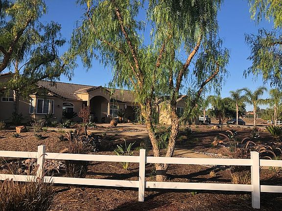 Drought tolerant yard