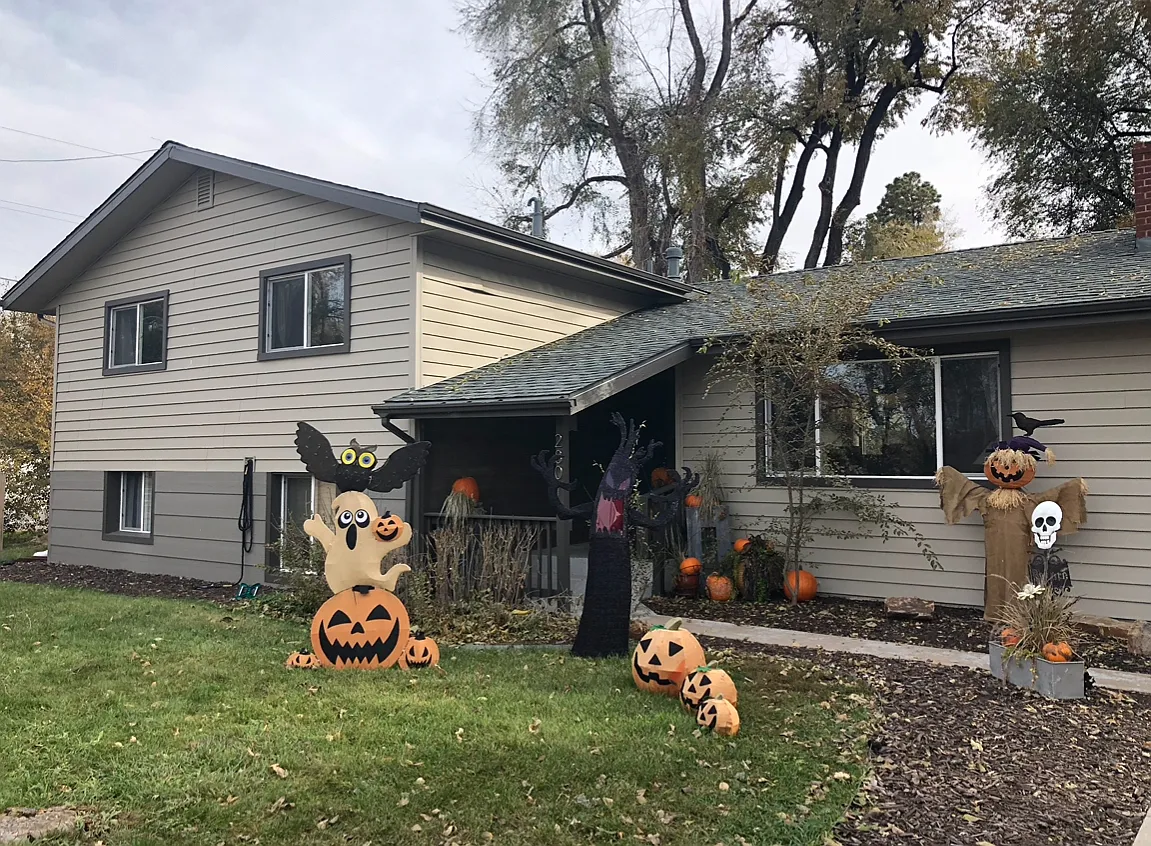 W Vine Dr, Fort Collins — Photo 2