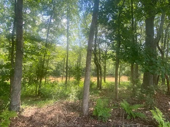 1764 Flatbottom Rd, Ball Ground, GA 30107