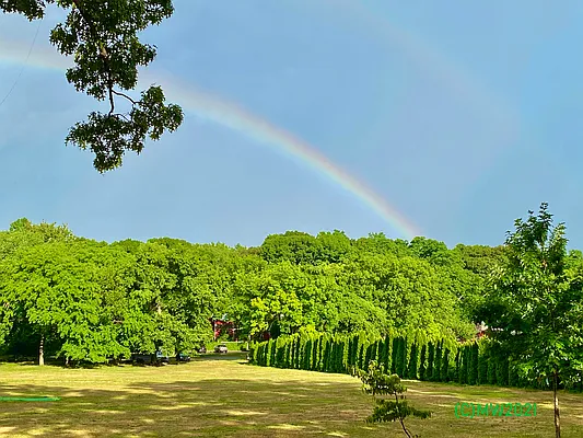 Rented by Keller Williams Realty Group | media 11