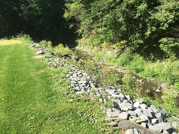 Stream in back of house