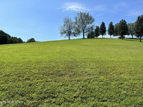 3515 Mountain View Ln, White Pine, TN 37890