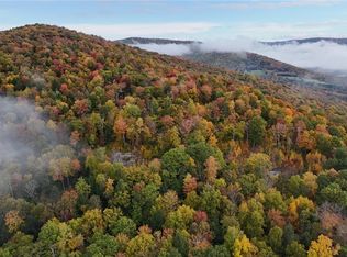 LOT 28.1 Shaver Hollow Rd, Andes, NY 13731