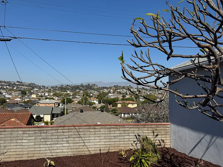 Great View from Backyard