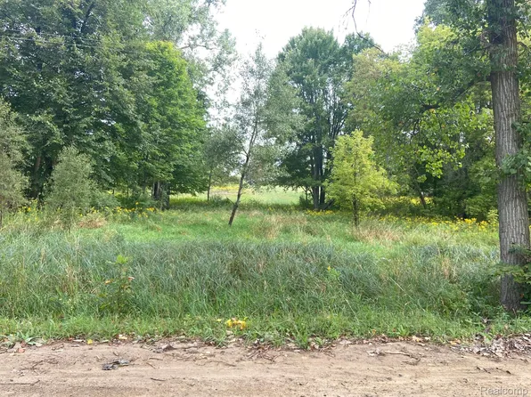 Vl W Barnes Lake Rd, Columbiaville, MI 48421