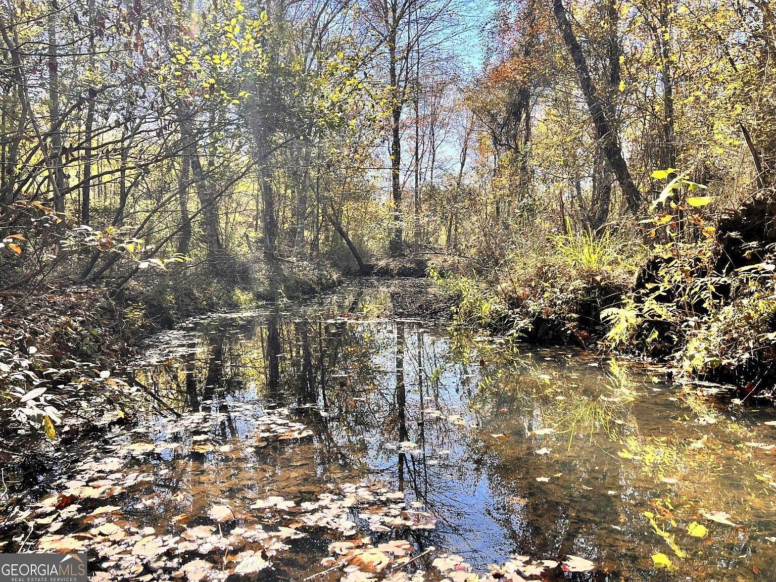 0 State Highway 57 W, Wrightsville, GA 31096 Zillow