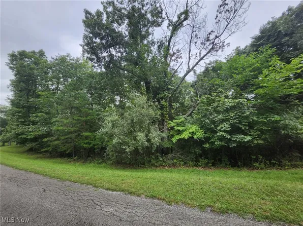 Honeysuckle Ln, Ripley, WV 25271