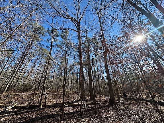 Photo Jan 13 2026 12 25 41 Pm