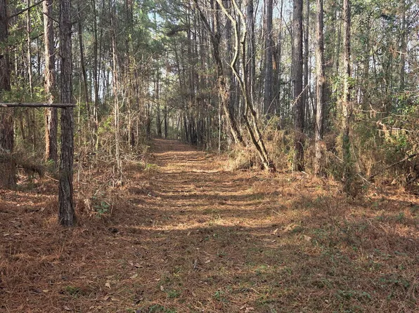 0 S Jackson St, Castleberry, AL 36432