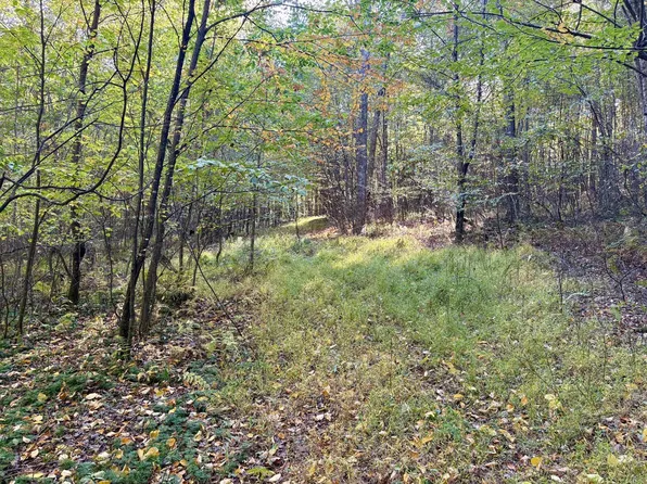 Dinner Bell Rd, Ohiopyle, PA 15470