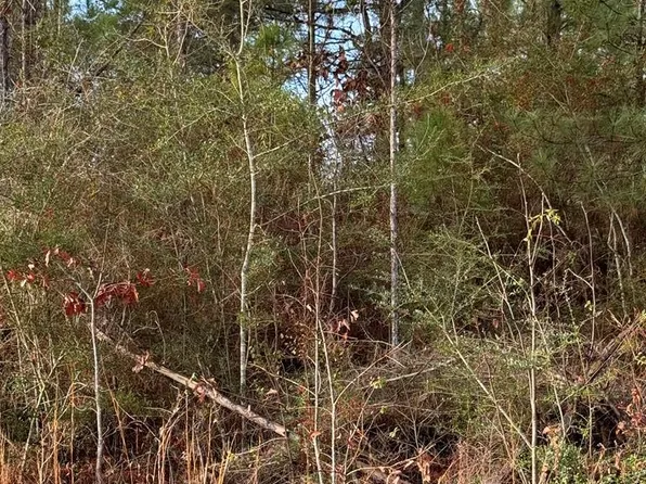 0 Glenwood Dr Lot 435, Carriere, MS 39426