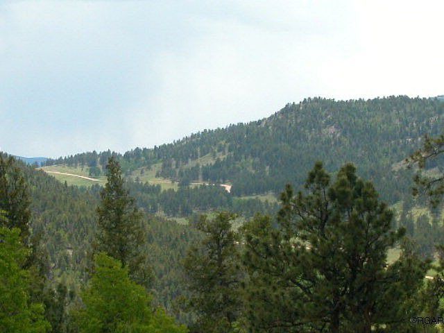 2nd image of 169 Aspen Cir
