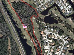 0 Mallard Ln, Daytona Beach, FL 32119