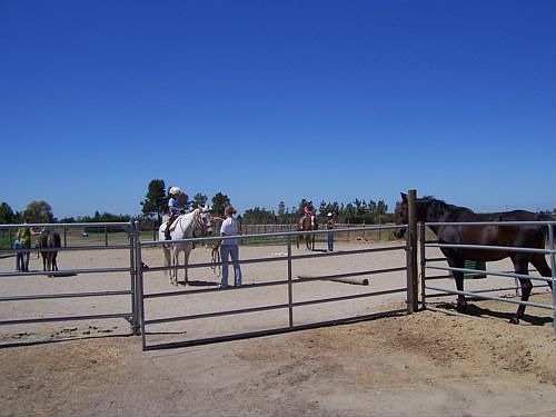 Horse paddock and arena