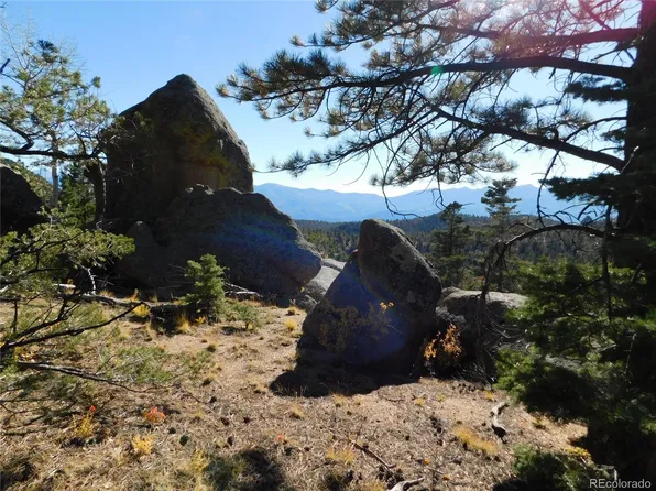 Turkey  Springs Drive, Cotopaxi, CO 81223