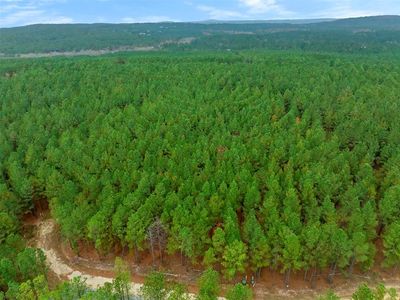 295 Hochapine Trl Lot 115, Broken Bow, OK, 74728