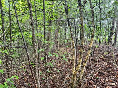 3666 Grandview Dr #23, Morganton, NC, 28655