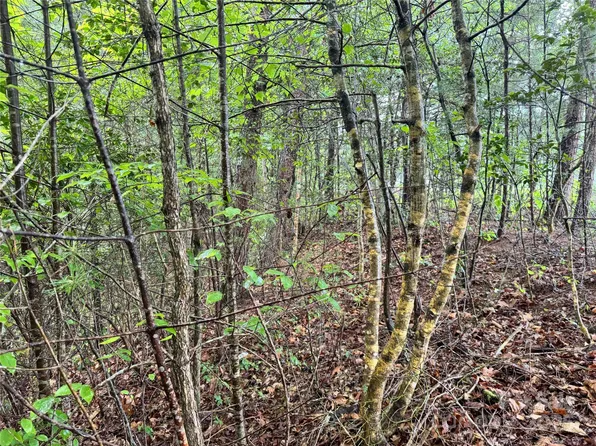 3666 Grandview Dr #23, Morganton, NC 28655