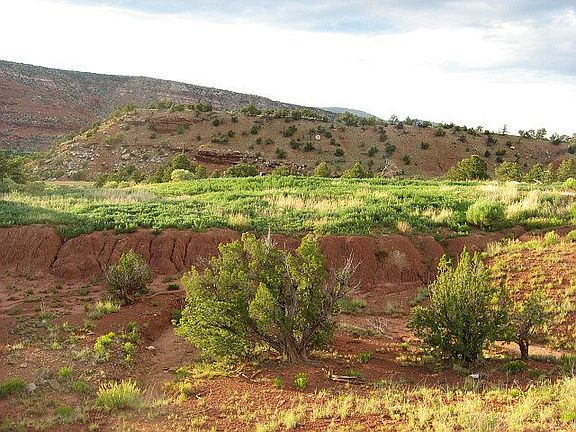 Upper Pasture, Looking East