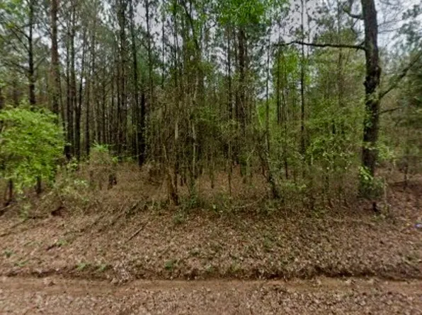 4451 County Road 3206 W, Mount Enterprise, TX 75681