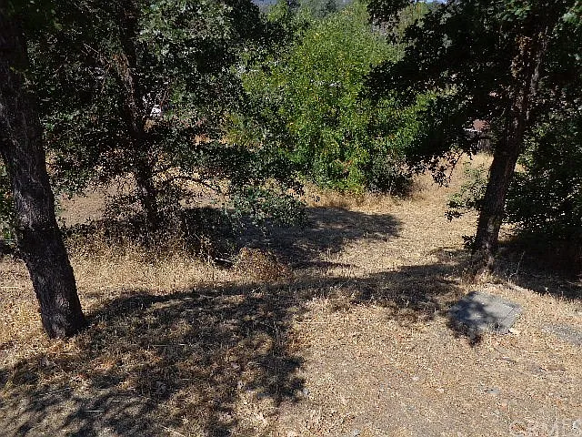 10141 Bell Ave photo 1