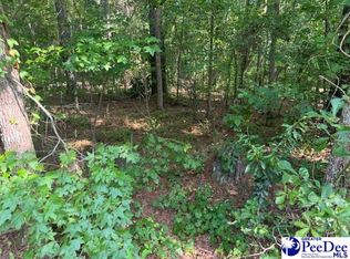 0 Ballpark Rd #136, Effingham, SC 29541