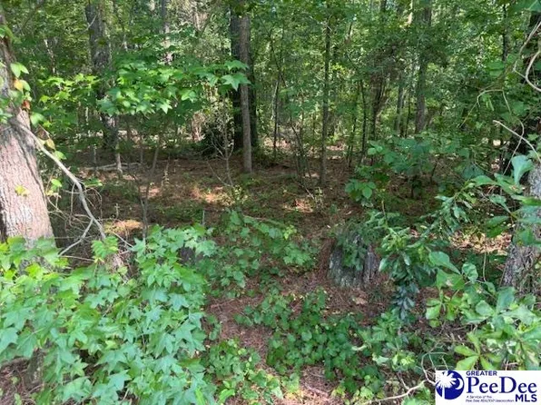 0 Ballpark Rd #136, Effingham, SC 29541