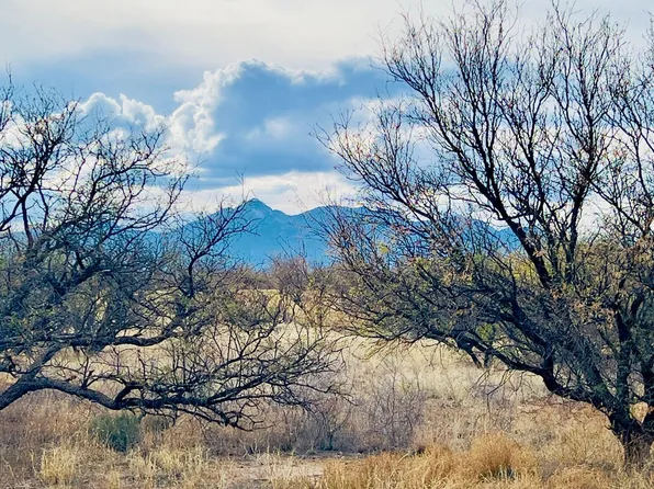 16133 E Yucca Ash Farm Rd #Road1, Sonoita, AZ 85637