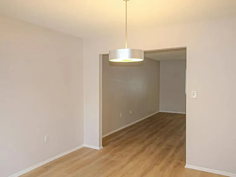 219 Debora Ct — Photo 4