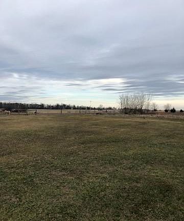 View from back porch