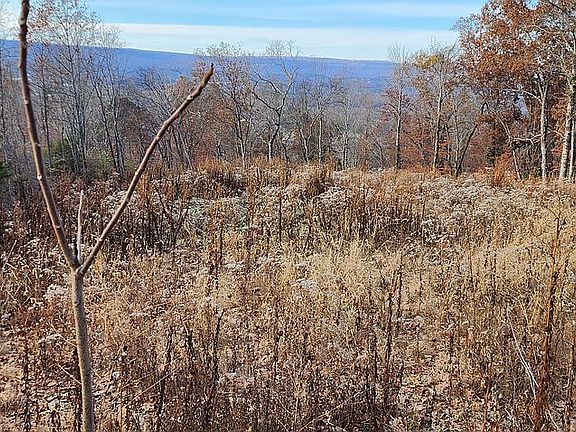 Spangler Ridge
