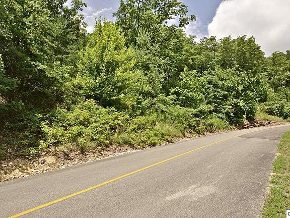 3rd image of LOT 121 E Settlers View Ln