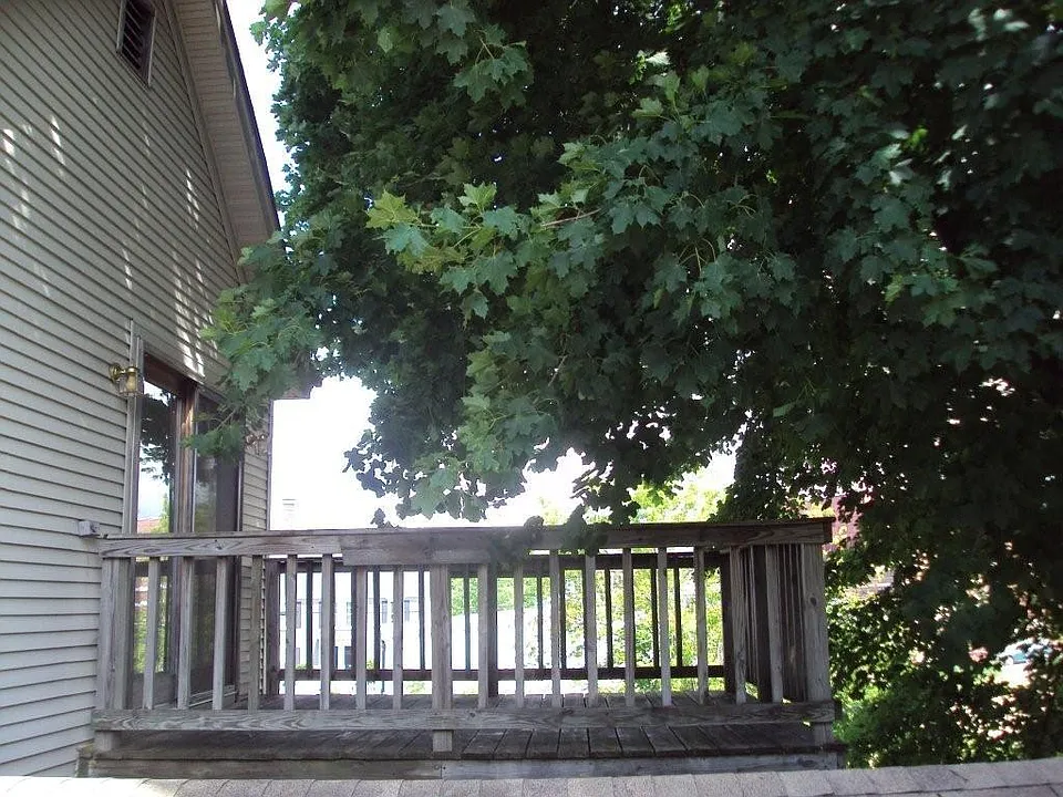 Back Deck