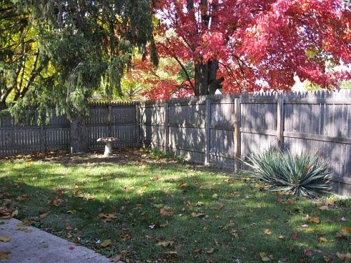 4th image of 1000 Holly Dr