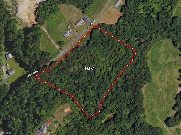 TRACT Rob Tom Rd #B, Eden, NC 27288