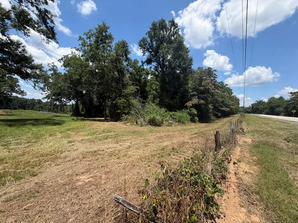 0 State Highway 125, Brundidge, AL 36010