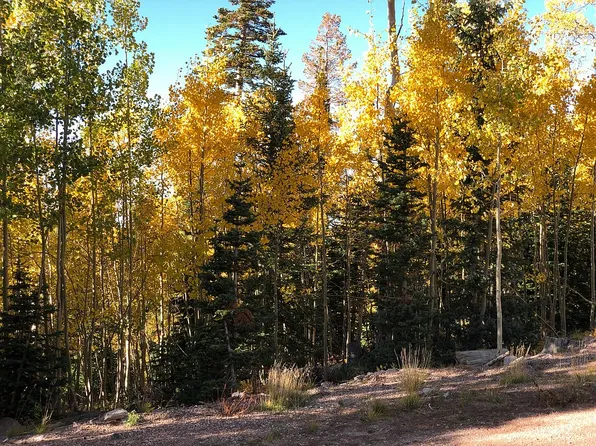 287 E Snow Shoe Dr, Brian Head, UT 84719